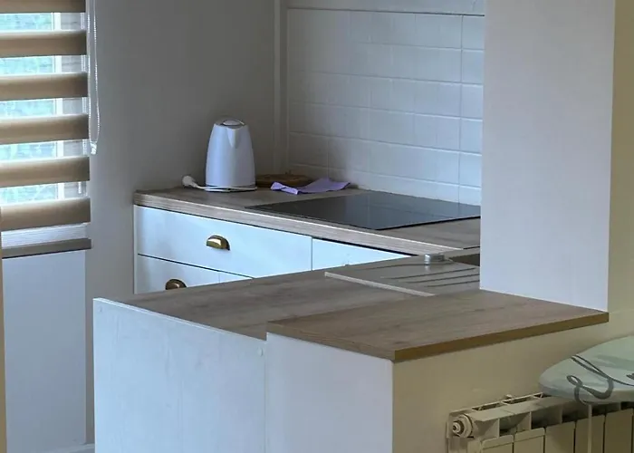 아파트 Oliva 포레치