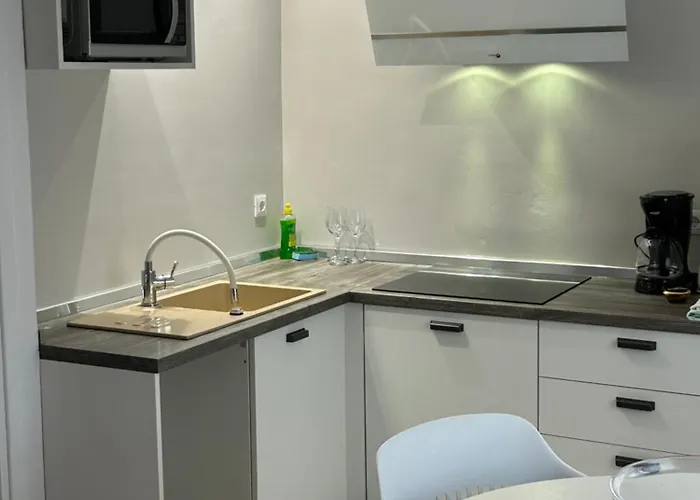 奥利瓦公寓酒店 *