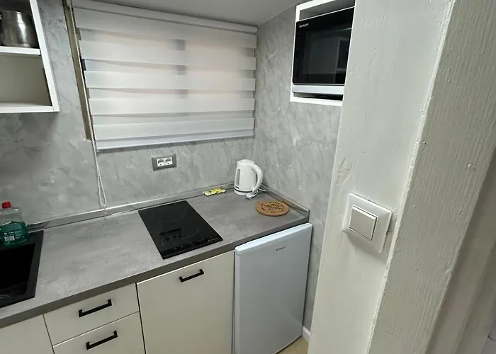 奥利瓦公寓酒店 * 波雷奇